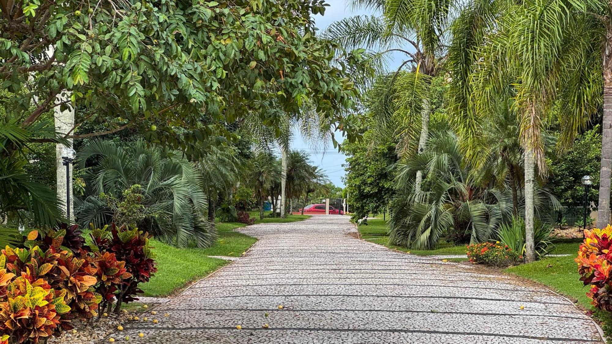Apto Cond. Porto Ventura 3 quartos Florianópolis Esterno foto